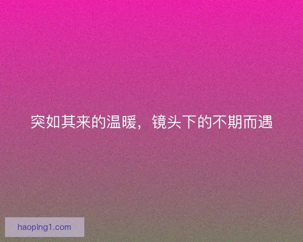 突如其来的温暖，镜头下的不期而遇