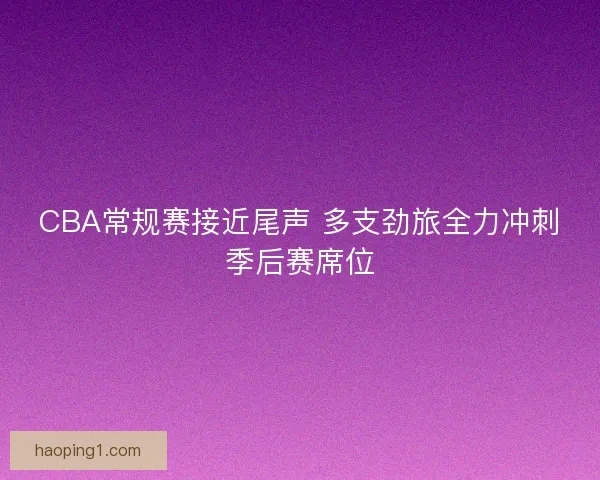 CBA常规赛接近尾声 多支劲旅全力冲刺季后赛席位