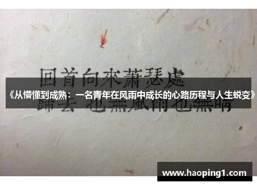 《从懵懂到成熟：一名青年在风雨中成长的心路历程与人生蜕变》