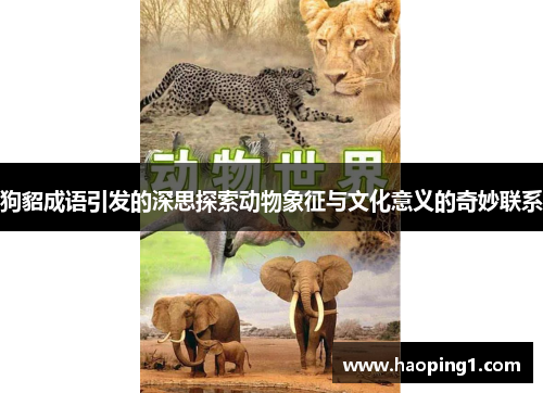 狗貂成语引发的深思探索动物象征与文化意义的奇妙联系