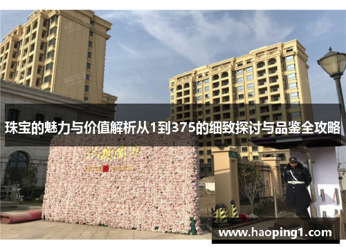 珠宝的魅力与价值解析从1到375的细致探讨与品鉴全攻略